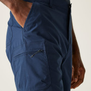 Чоловічі шорти Regatta Dalry Short
