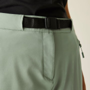 Жіночі штани Dare 2b Melodic Pro II Trouser