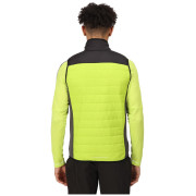 Чоловіча жилетка Regatta Halton BW VI