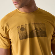 Чоловіча футболка Dare 2b Tech II Tee