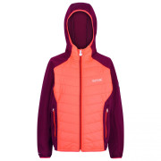 Дитяча куртка Regatta Kielder Hybrid IV