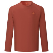 Чоловіча футболка Dare 2b Agile Long Sleeved Tee коричневий ArabianSpice