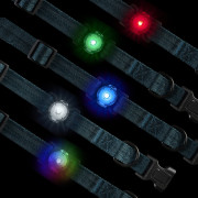 Ліхтарик для собаки Nite Ize NiteDog™ Rechargeable Pet Light