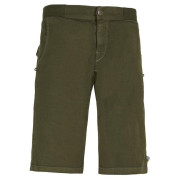 Чоловічі шорти E9 Kroc Flax зелений