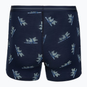 Чоловічі функціональні боксерки Icebreaker Men M 150 Anatomica Boxers BearTourAOP
