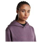 Жіноча кофта Icebreaker W Mer 360 RealFleece Elemental LS Hood