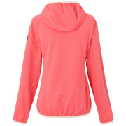 Жіноча толстовка Regatta Women's Huntdale