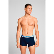 Чоловічі боксери Puma Everyday Multi Logo Boxers 2P