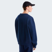 Чоловіча толстовка The North Face Essential Simple Dome Relaxed Crew