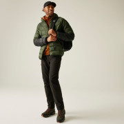 Чоловіча куртка Regatta Hooded Dalent