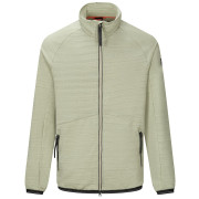 Чоловіча толстовка Regatta Malton світло-зелений Light Sage