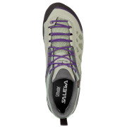 Жіночі черевики Salewa Firetail 3 GTX WS