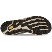 Чоловічі туристичні черевики Altra Timp 5 Hiker Gtx