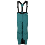 Дитячі лижні штани Dare 2b Pow III Insulated Pant Mediterranea зелений Mediterranea