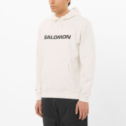 Чоловіча толстовка Salomon Logo Hoodie M