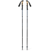 Трекінгові палиці Black Diamond Trail Vista FLZ