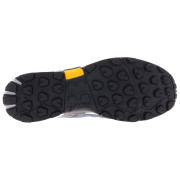 Чоловічі черевики Inov-8 Roclite 290 M