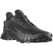 Чоловічі кросівки Salomon Alphacross 4