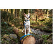 Повідець для собаки Mountain Paws Waterproof Dog Lead