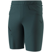 Чоловічі шорти Dynafit Traverse Hybrid Shorts M