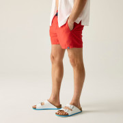 Плавки Regatta Mawson Swim Shorts III
