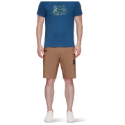 Чоловічі шорти Mammut Massone Shorts Men