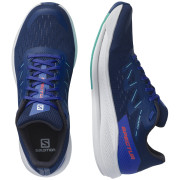 Чоловічі кросівки Salomon Spectur