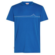 Чоловіча футболка Icebreaker Men Merino 150 Tech Lite SS Tee Range Stripes