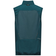 Чоловіча жилетка Salewa Pedroc Dst Light Vest M