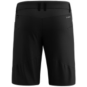 Чоловічі шорти Salewa Agner Dst M Shorts.