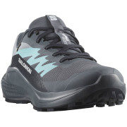 Жіночі черевики Salomon Alphaglide Gore-Tex