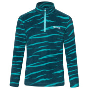 Дитяча толстовка Regatta Hot Shot II MeditZebra синій MeditZebra