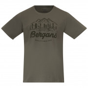 Чоловіча футболка Bergans Classic V2 Tee зелений