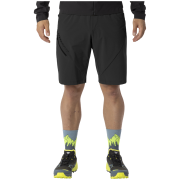 Чоловічі шорти Dynafit Traverse Hybrid Shorts M