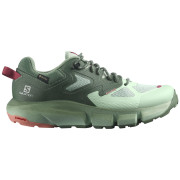 Жіночі туристичні черевики Salomon Predict Hike Gtx W зелений