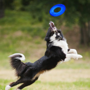 Іграшка для собак Nerf Dog Translucent TPR Tire Flyer 25 cm