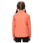 Дитяча толстовка Regatta Jnr Highton LteII