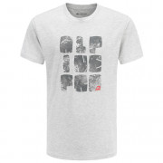 Чоловіча футболка Alpine Pro Quars сірий