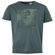 Дитяча футболка Regatta Alvarado IX