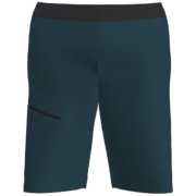 Чоловічі шорти Salewa Puez 4 Shorts M
