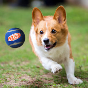 Іграшка для собак Nerf Dog Squeak Tennis Ball 3 pcs