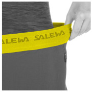 Жіночі штани Salewa Agner Light Dst Engineer W Pnt