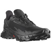 Жіночі черевики Salomon Alphacross 4 чорний