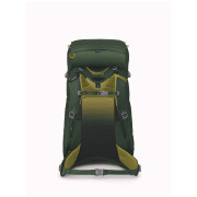 Дитячий рюкзак Osprey Ace 38