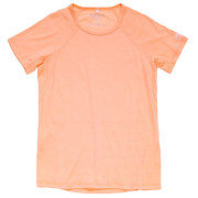 Жіноча футболка Devold Endurance Merino 130 Tee Wmn світло-рожевий SUNRISE