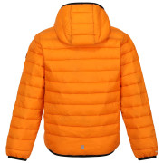 Дитяча зимова куртка Regatta Jnr Hooded Marizion