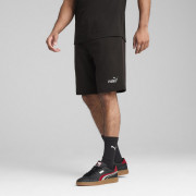 Чоловічі шорти Puma Ess 2 Color Logo Shorts