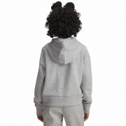 Дитяча толстовка Under Armour Rival Fleece Crop Hoodie
