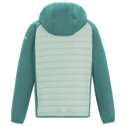 Дитяча куртка Regatta Junior Andreson Hybrid IvyMossOMist