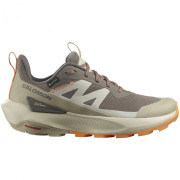 Жіночі трекінгові черевики Salomon Elixir Activ Gore-Tex коричневий Falcon